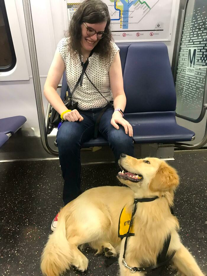 cute dog