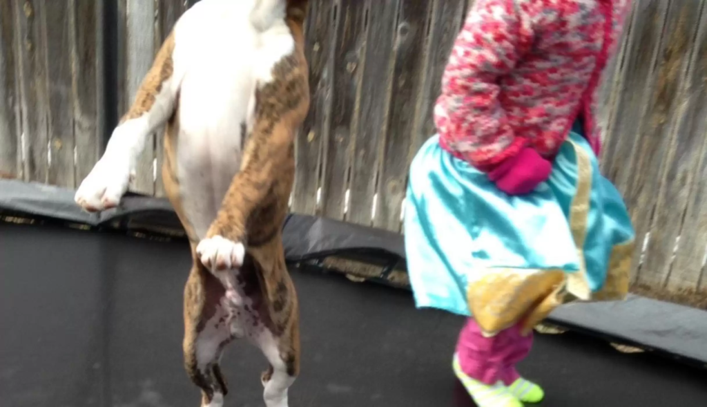 dog and kid