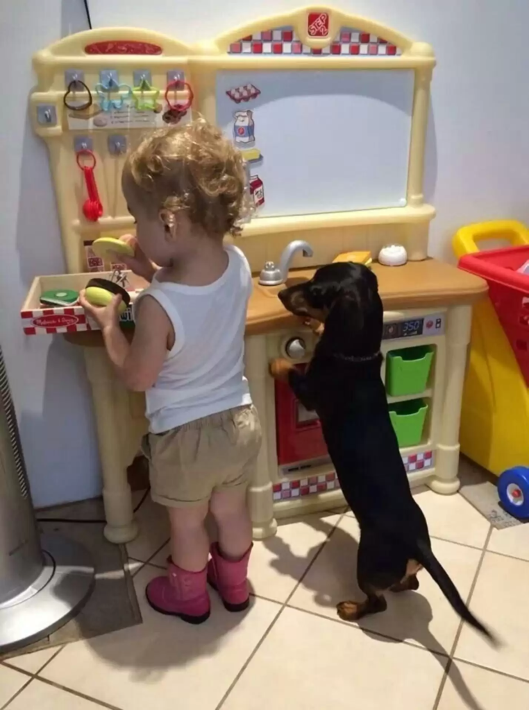 dog and kid