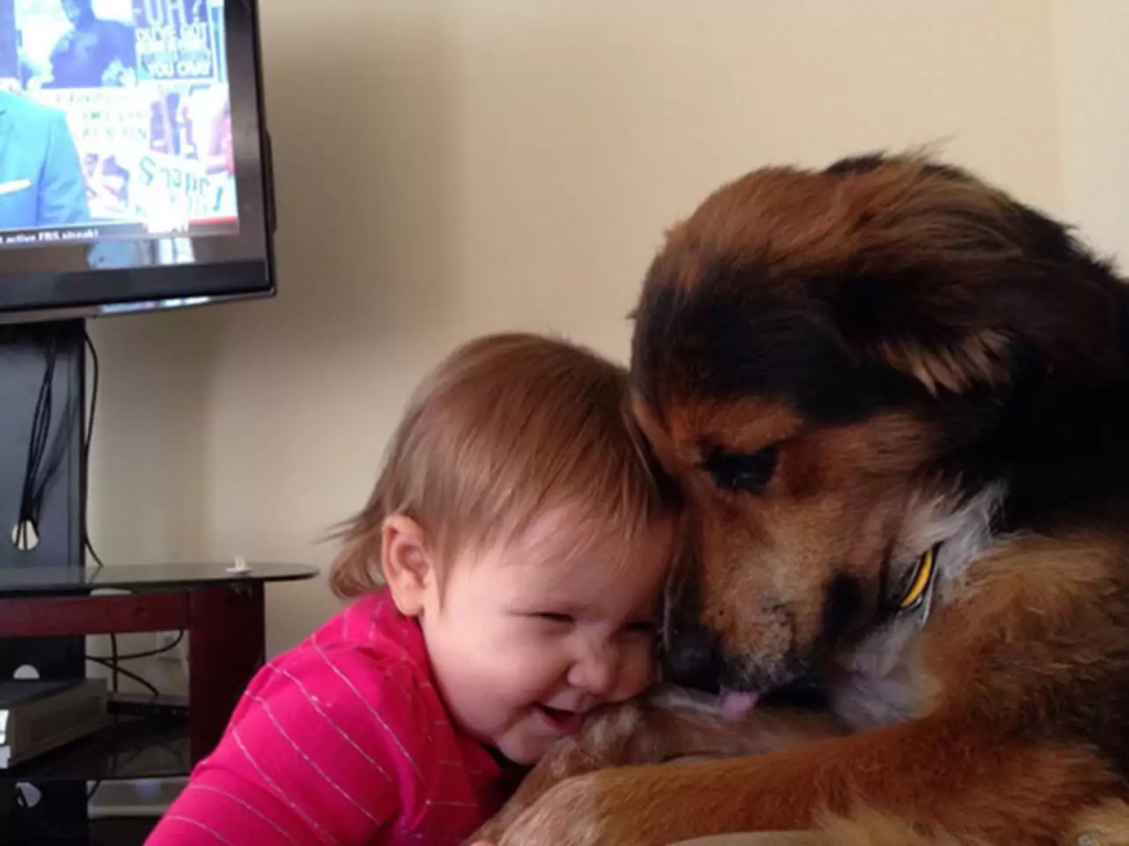 dog and kid