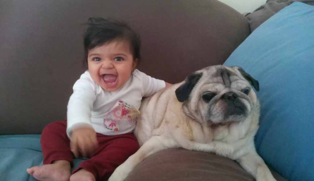 dog and kid