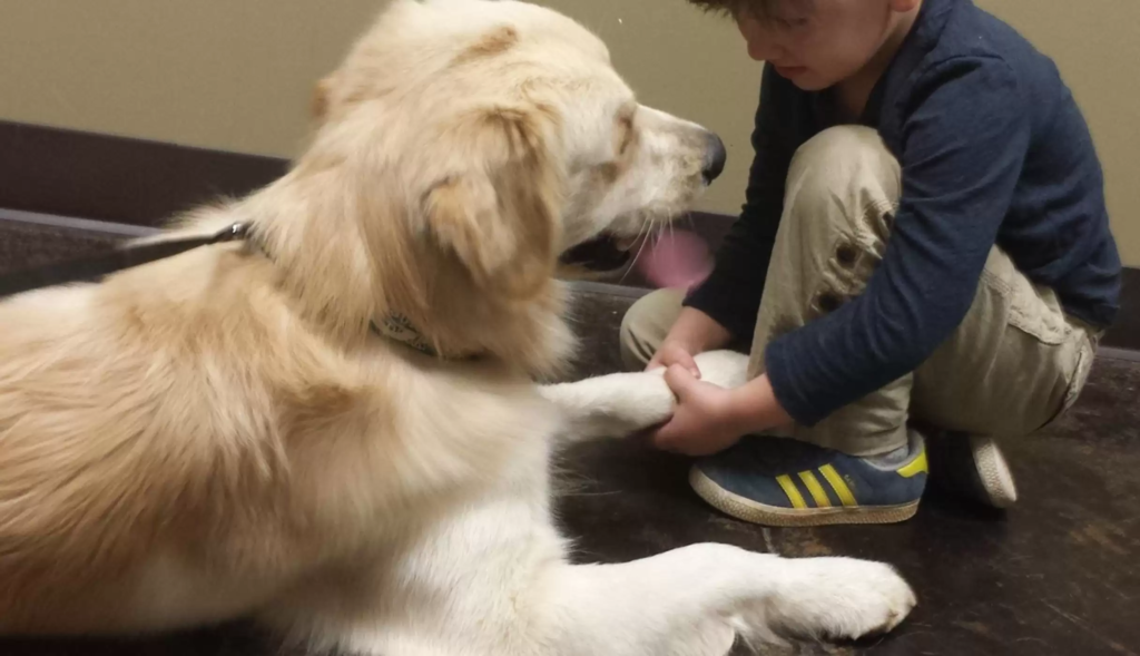 dog and kid