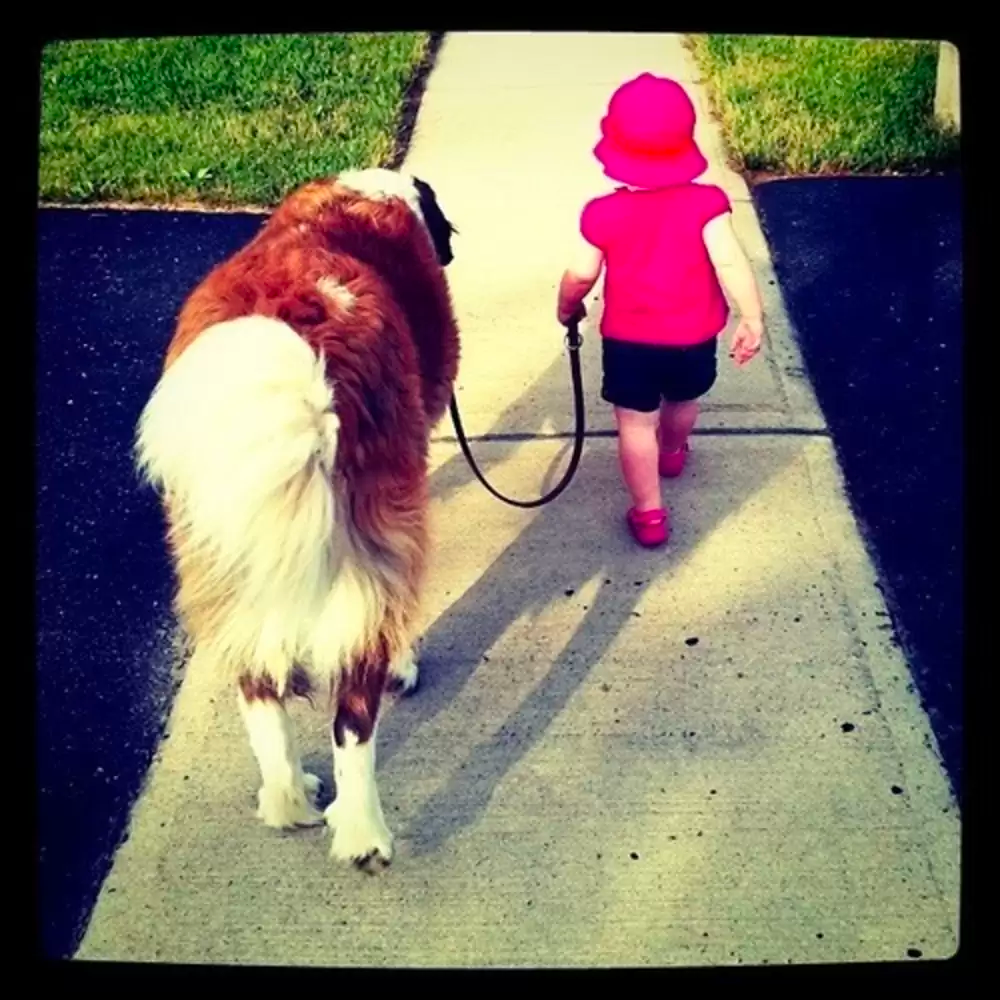 dog and kid
