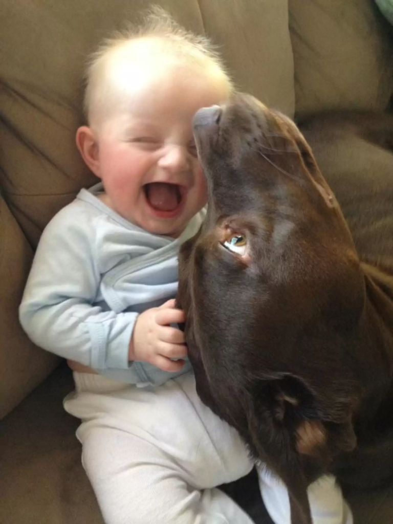 dog and kid