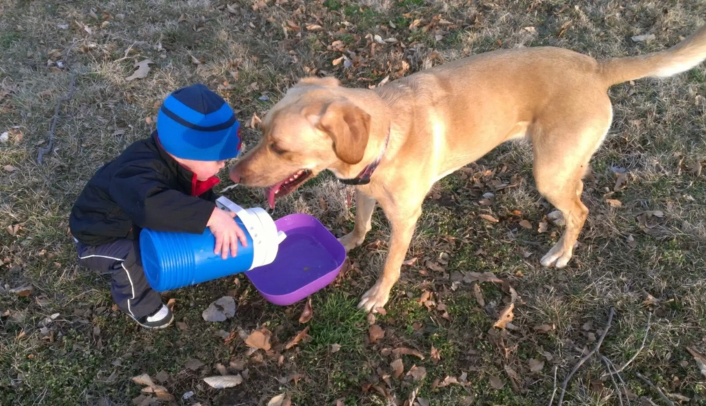 dog and kid