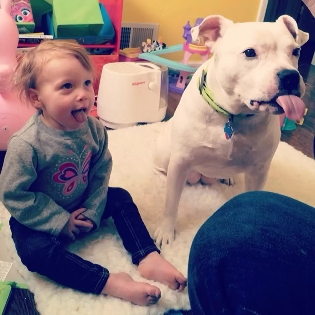 dog and kid