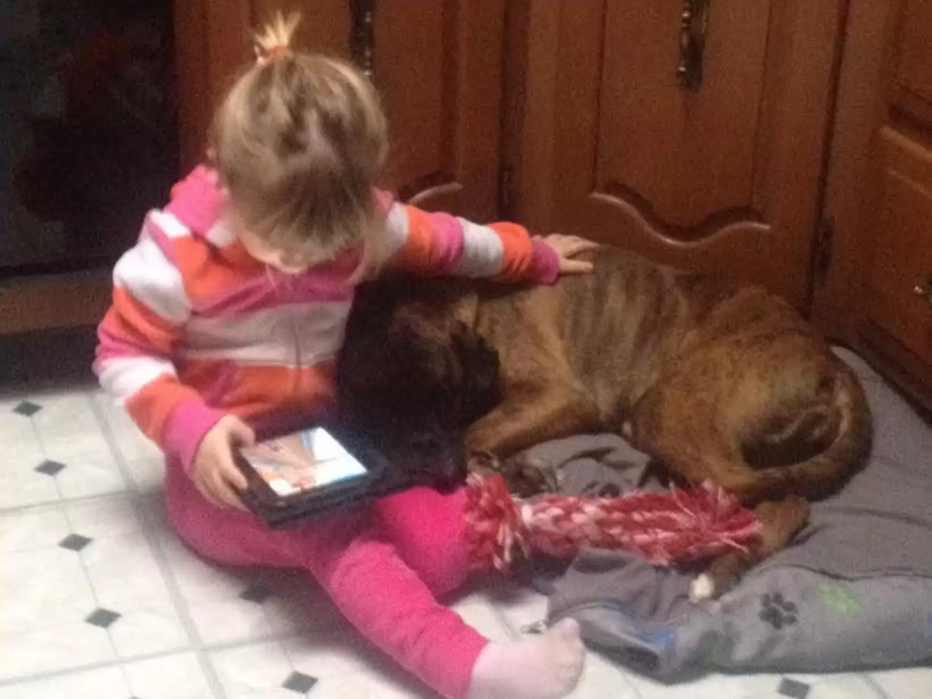 dog and kid