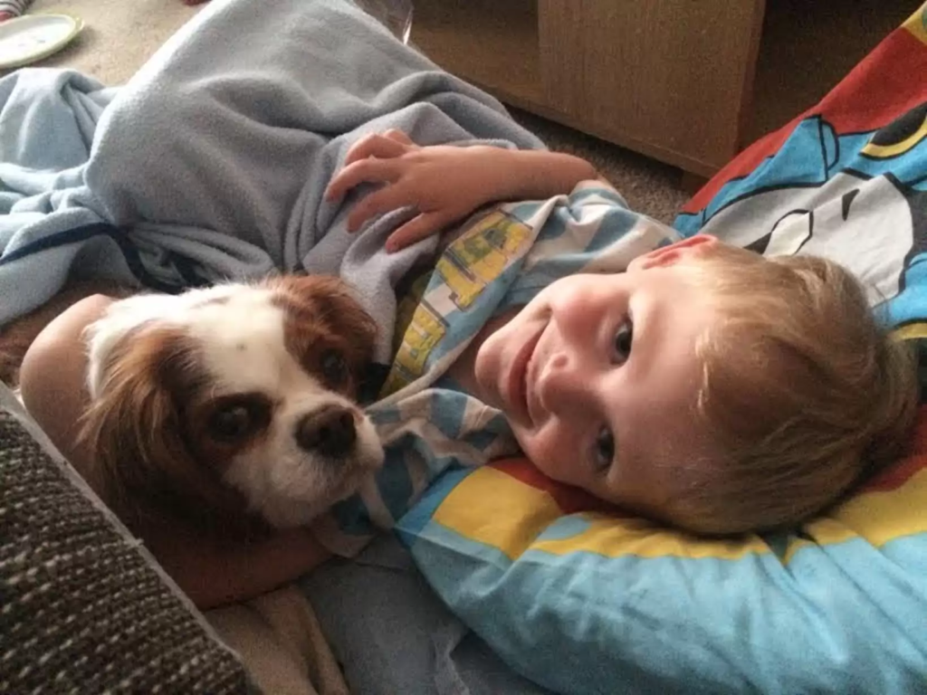dog and kid
