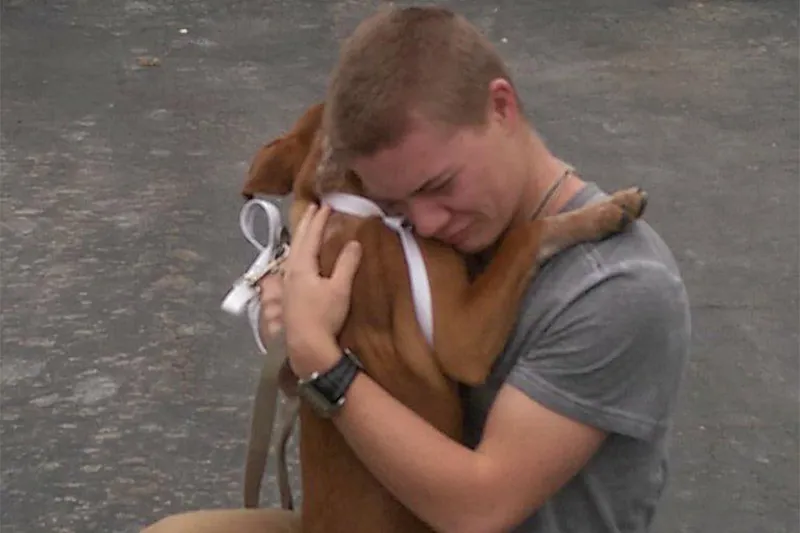 emotional dog