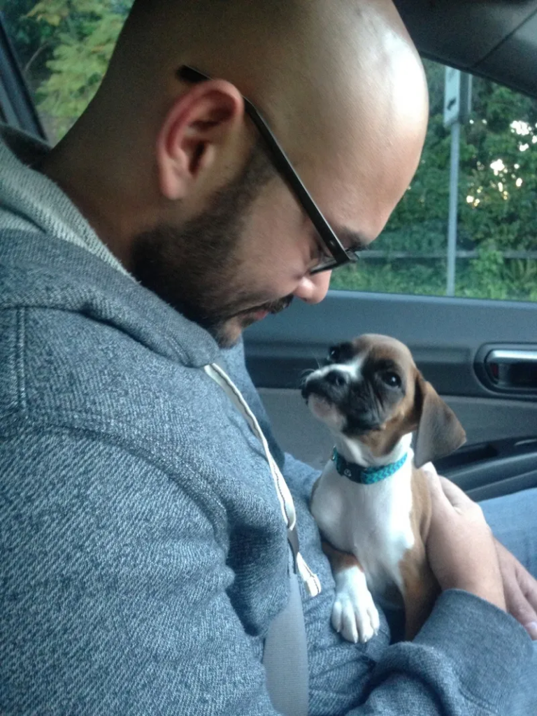 rescue dog and family