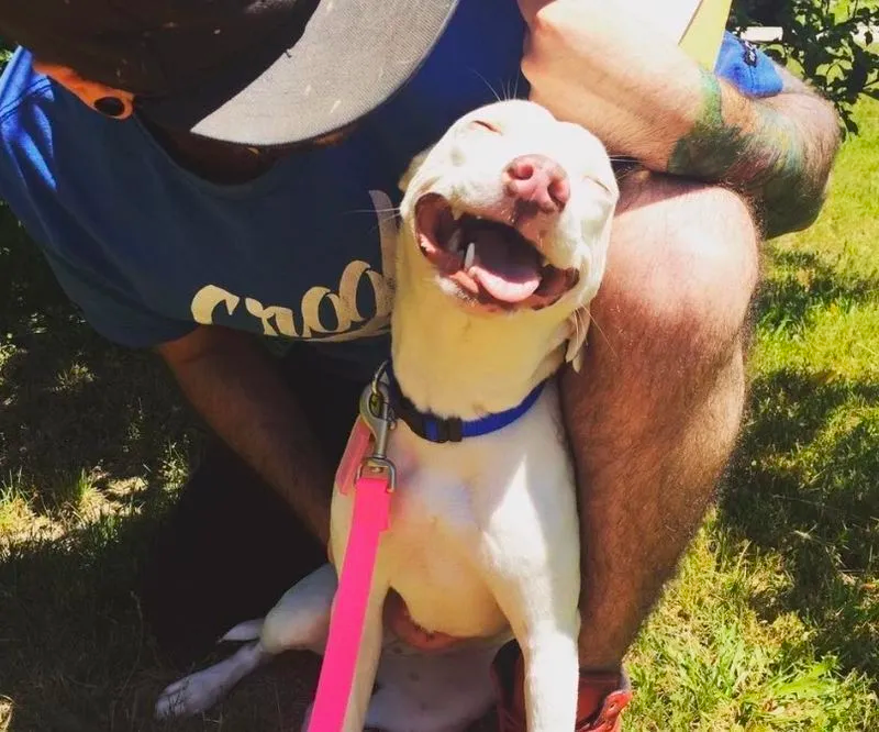 kodak smile
