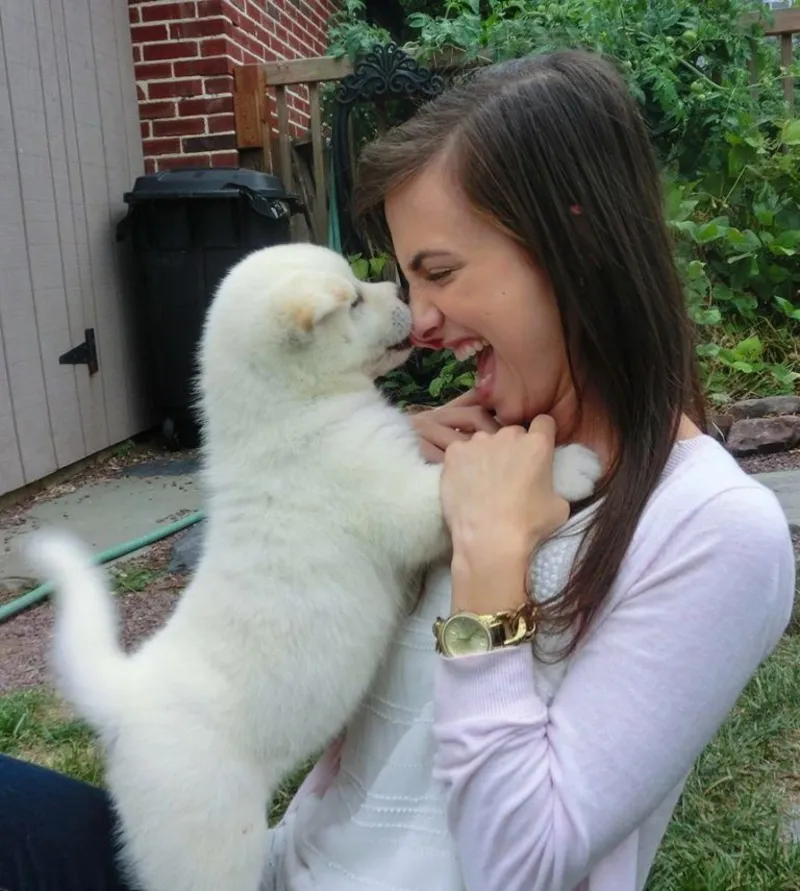 cute dog