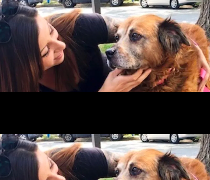 cute dog