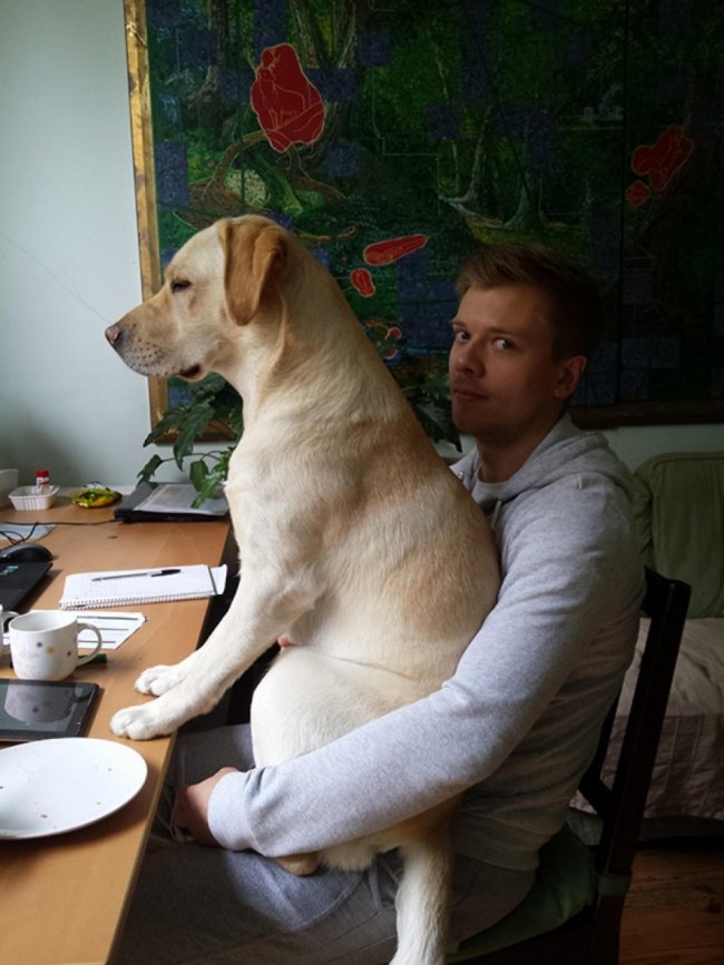 Cute dog