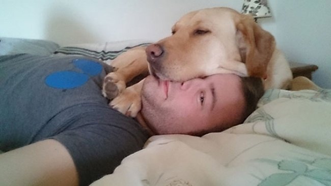 Cute dog