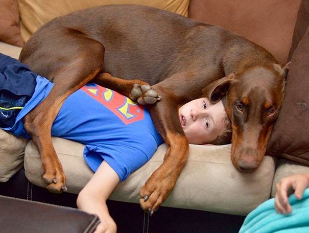 Cute dog