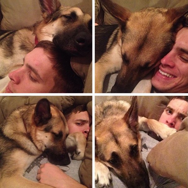 Cute dog