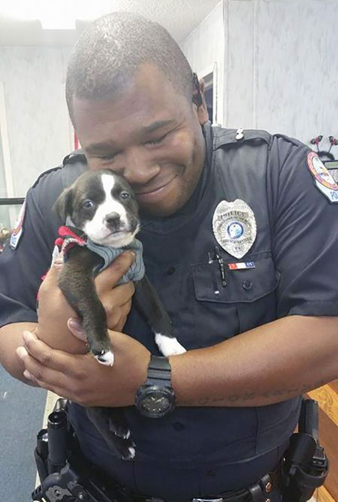 cute dog