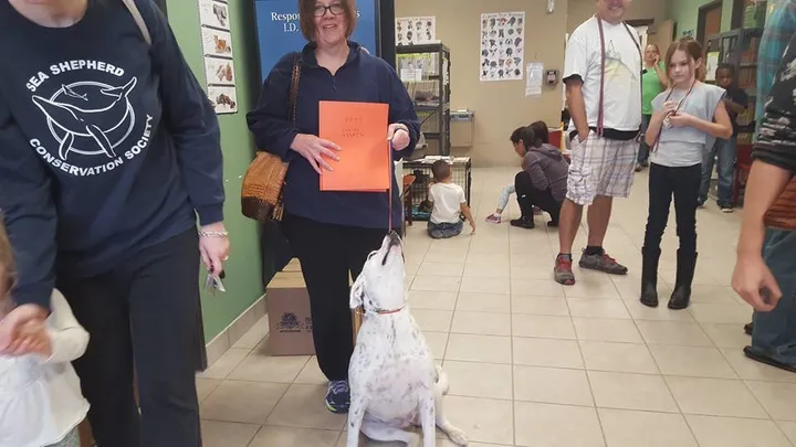 rescue dog story