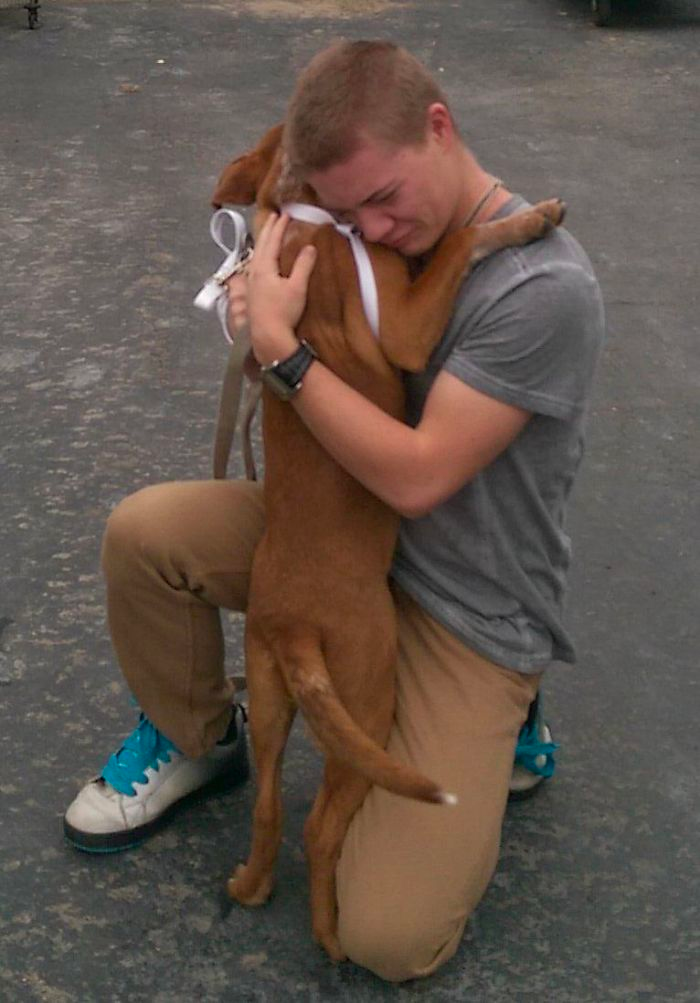 cute dog