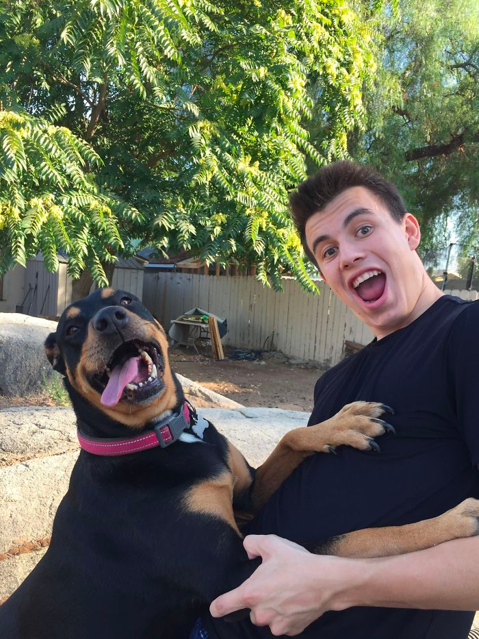 cute dog