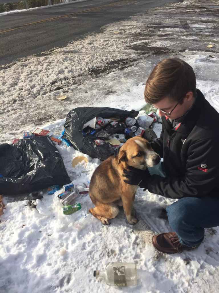 cute rescue dog