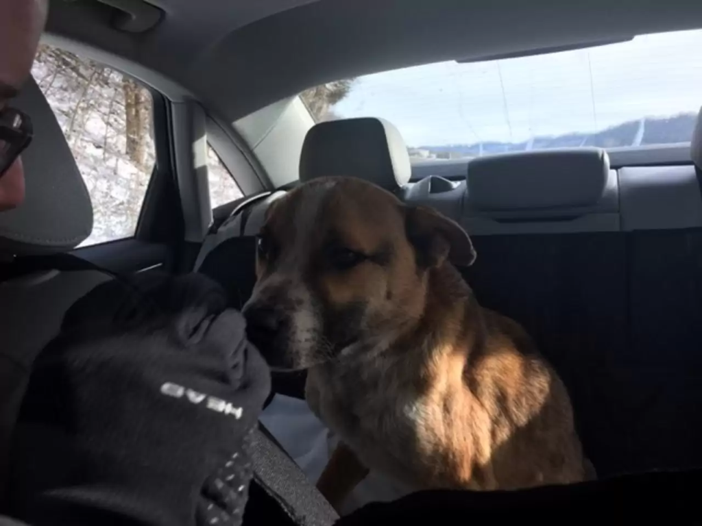 this story will make you cry