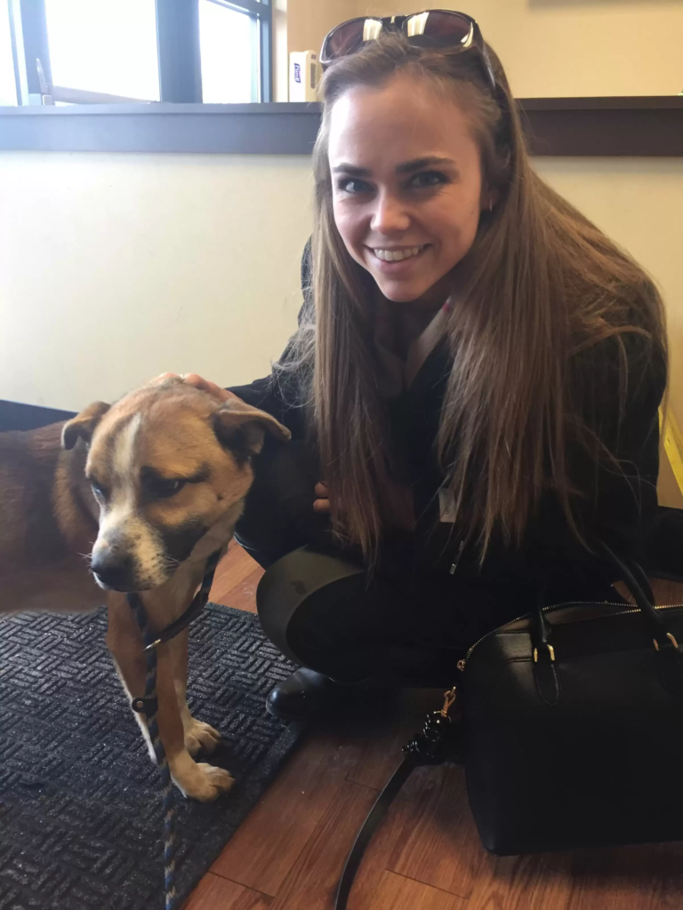 lovely dog story make you cry