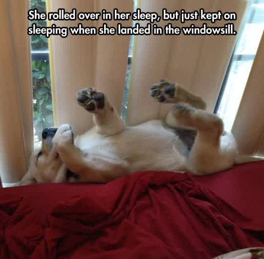 zzzzz