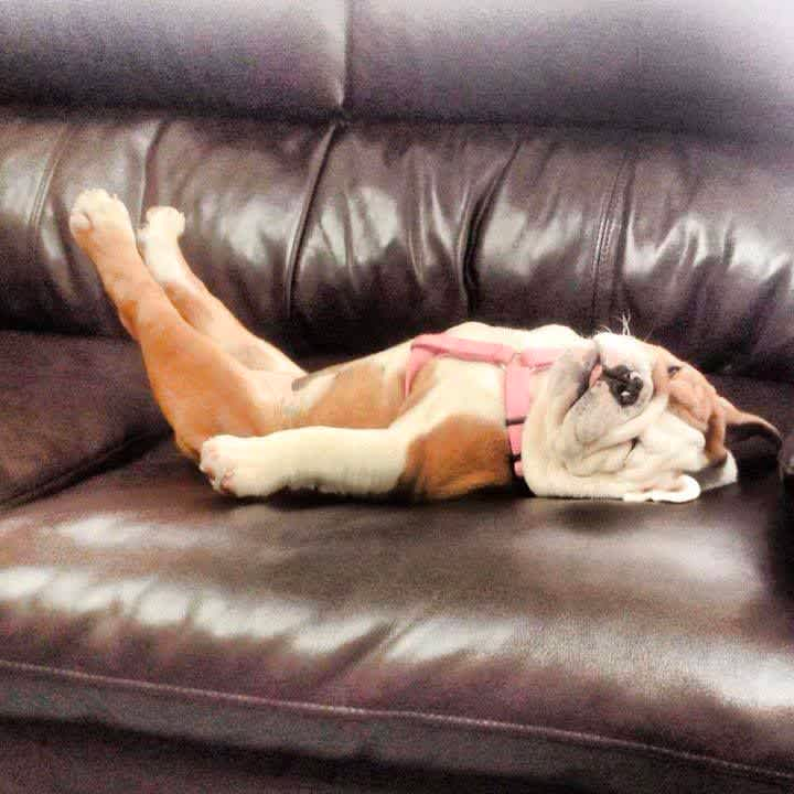 i need a nap