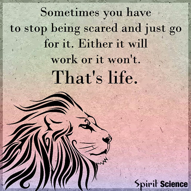 quotes of the life