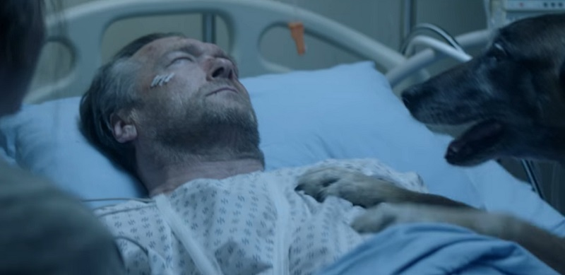 This emotional dog story will make you cry