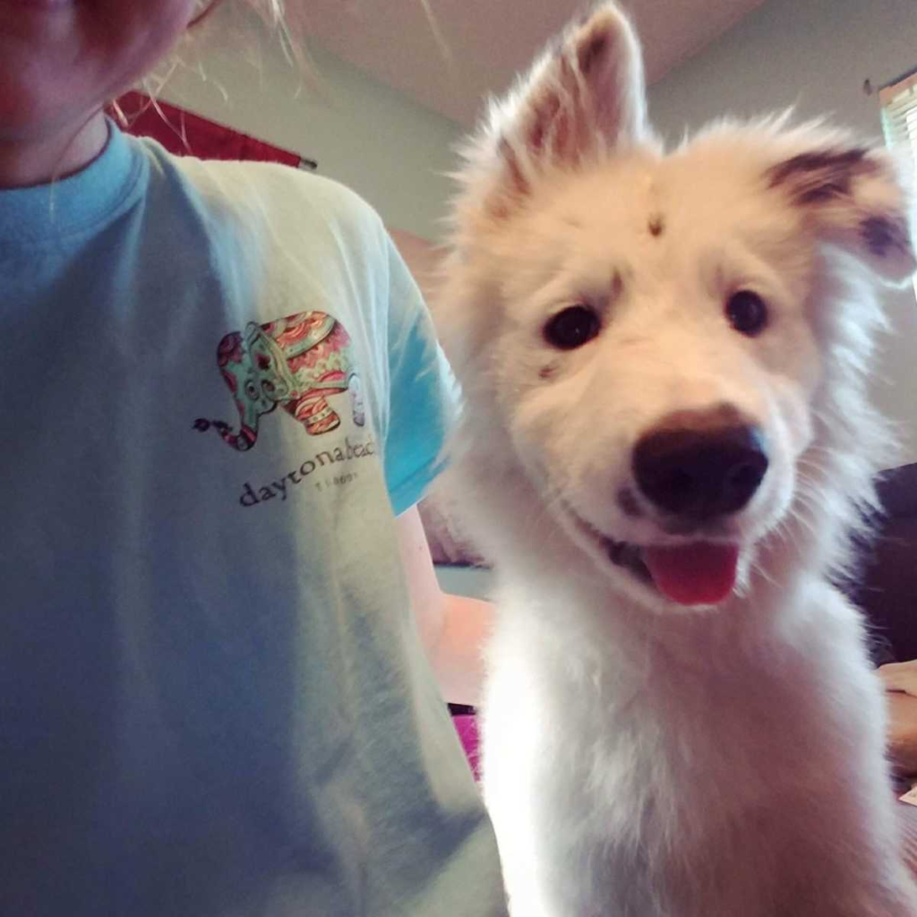 this emotional dog story will make your day