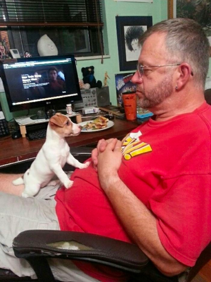 cute dog