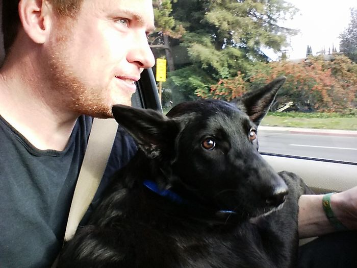 cute dog