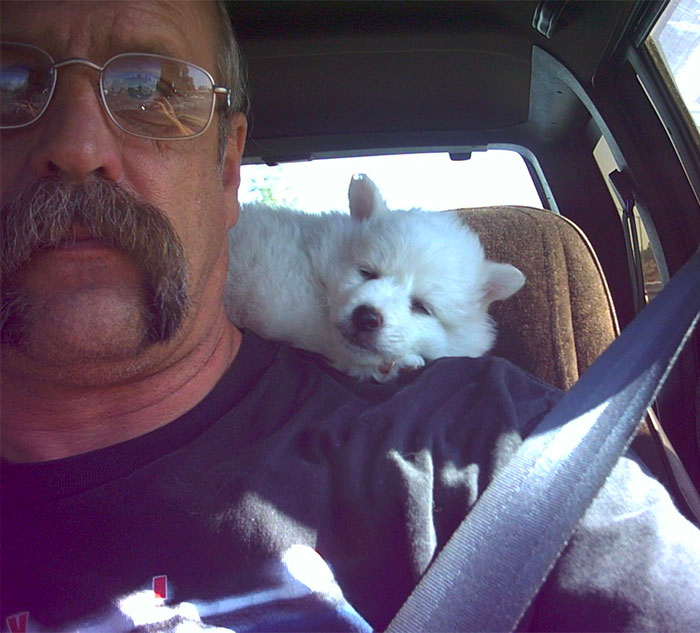 cute dog