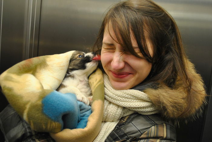 cute dog