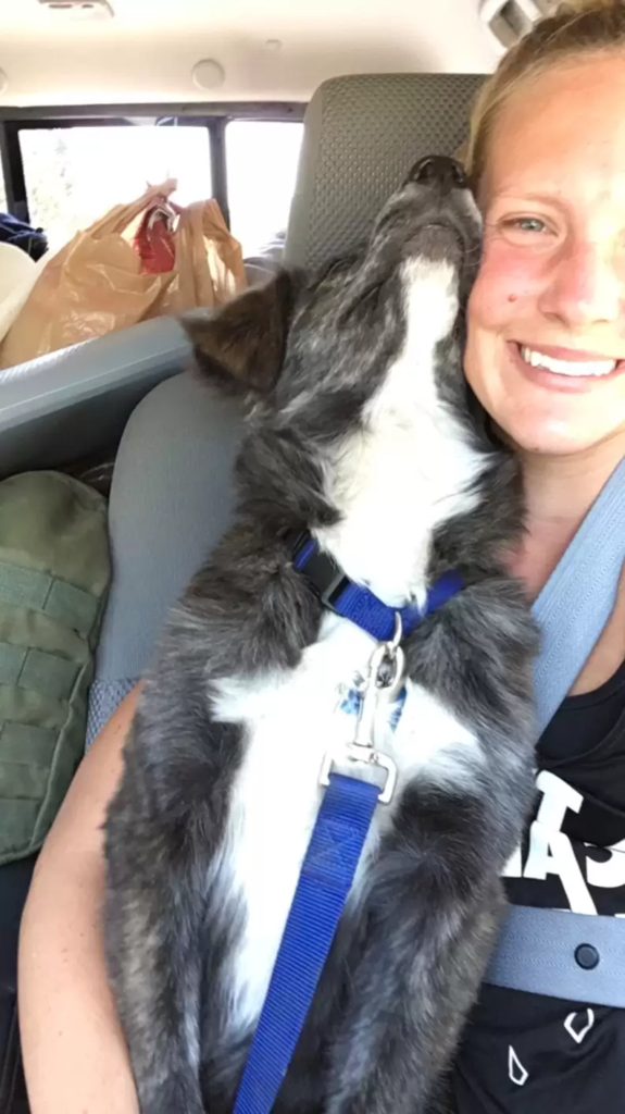 that's a sweet journey of this dog and her new family