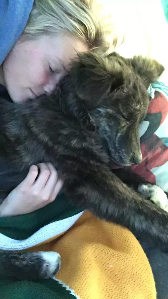 that's a sweet journey of this dog and her new family