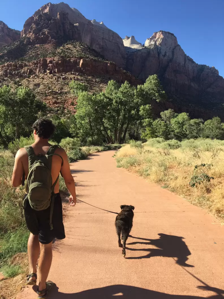 that's a sweet journey of this dog and her new family