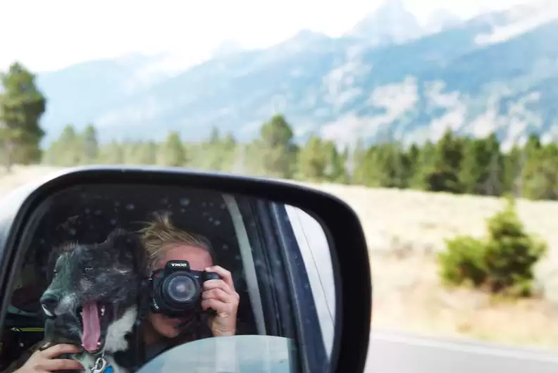 that's a sweet journey of this dog and her new family
