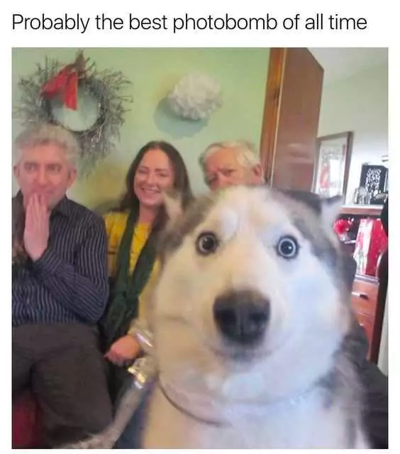 if you have a bad day...