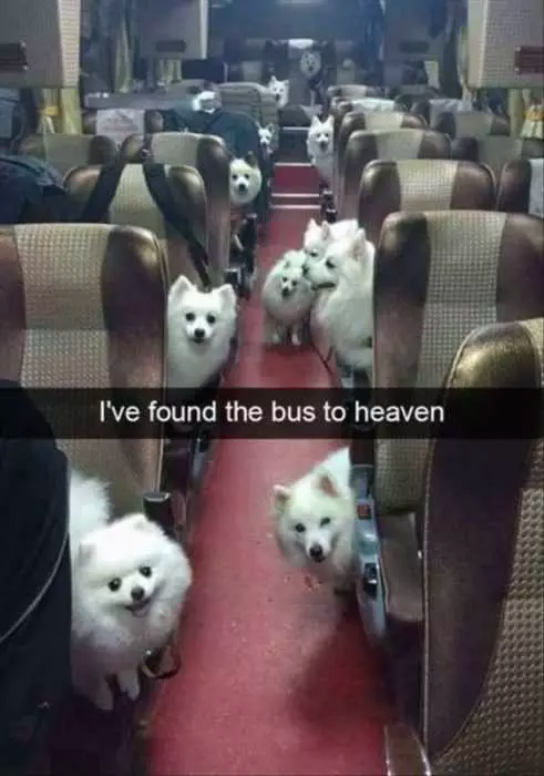 if you have a bad day...