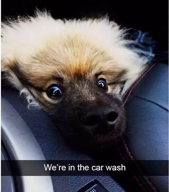if you have a bad day...