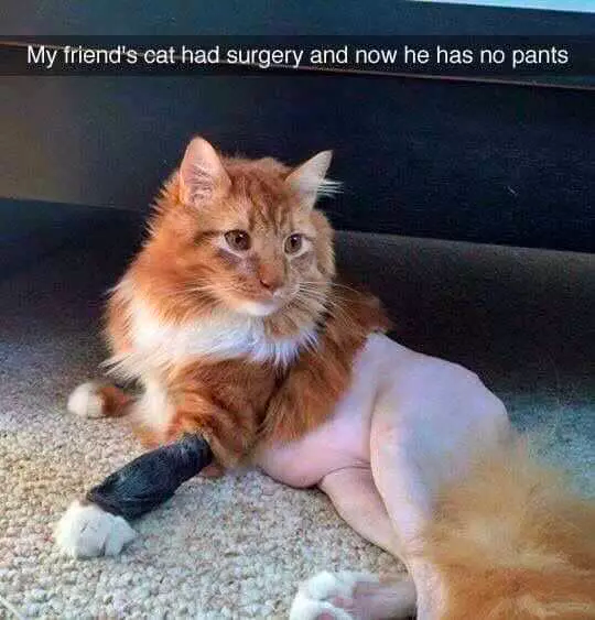 if you have a bad day...