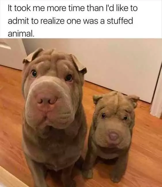 if you have a bad day...