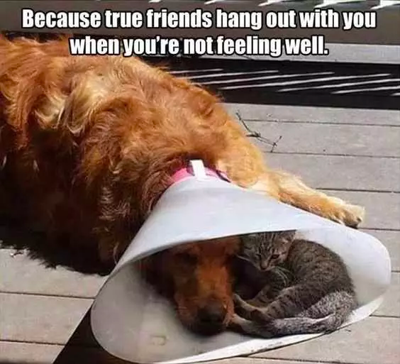 if you have a bad day...