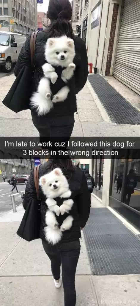 if you have a bad day...