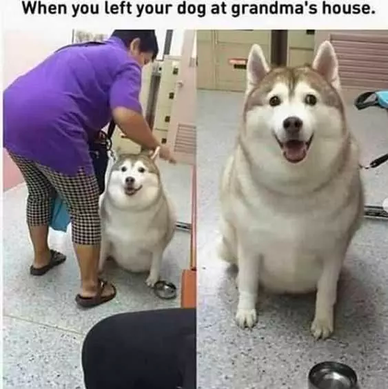 if you have a bad day...