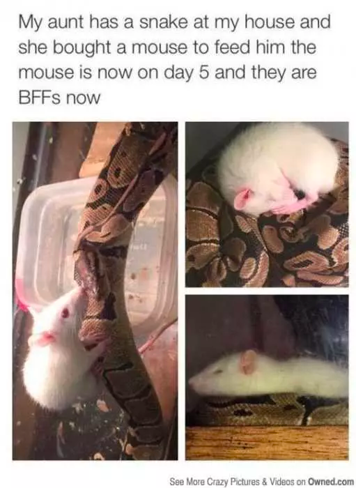 if you have a bad day...